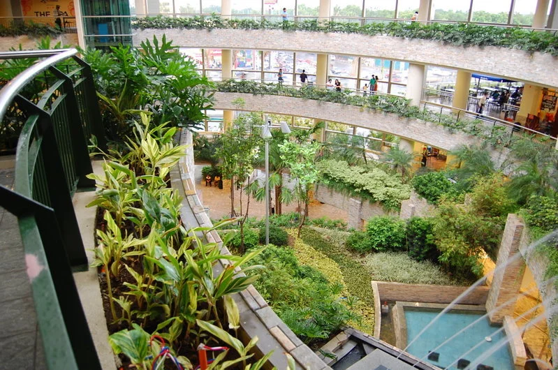 large_Trinoma_Inside (1)