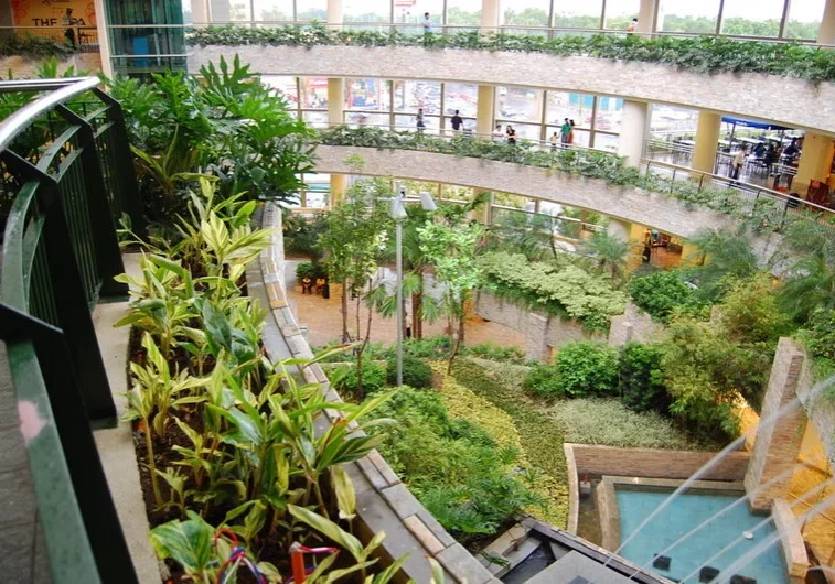 large_Trinoma_Inside (1)